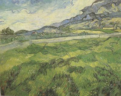 Vincent Van Gogh Green Wheat Field (nn04) Spain oil painting art